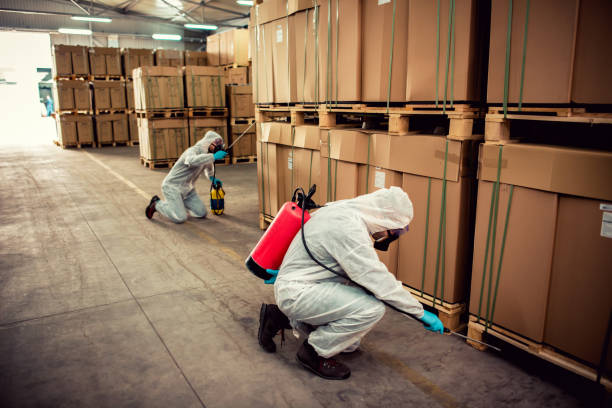 Best Termite Control Services  in Goldthwaite, TX
