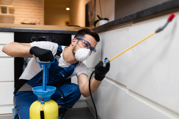 Best Residential Pest Control  in Goldthwaite, TX