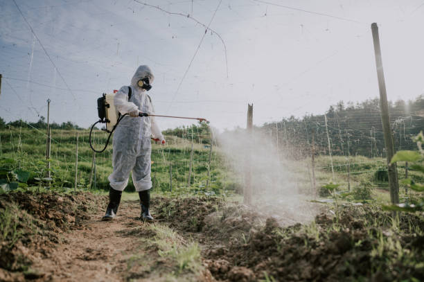 Best Mosquito Control Services  in Goldthwaite, TX