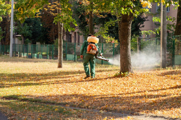 Reliable Goldthwaite, TX Pest Control Solutions
