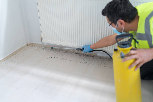 Best Local Pest Control Services  in Goldthwaite, TX